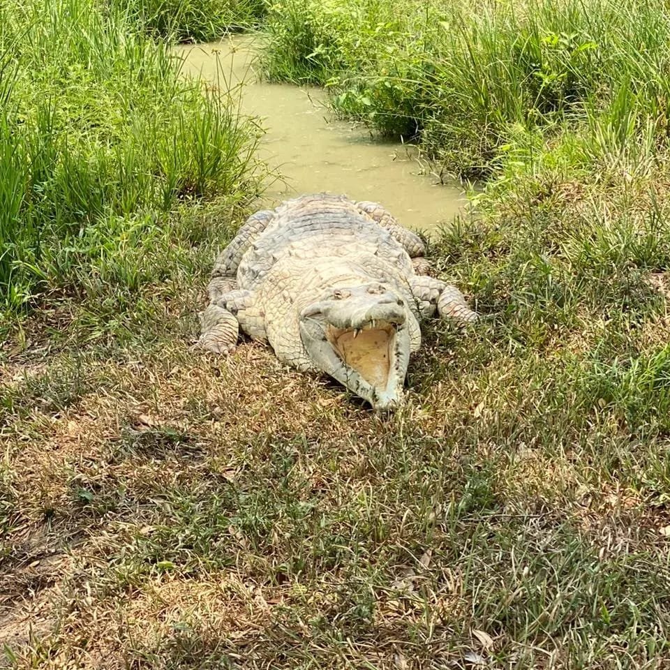 Imagen de WhatsApp 2024-04-28 a las 12.11.17_44faad33