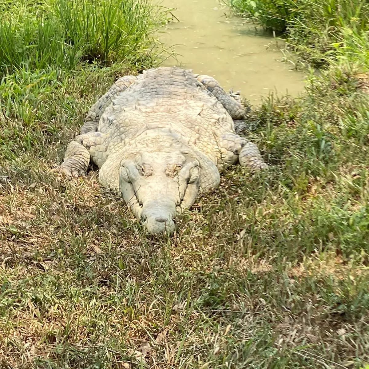 Imagen de WhatsApp 2024-04-28 a las 12.11.17_7f344ac6