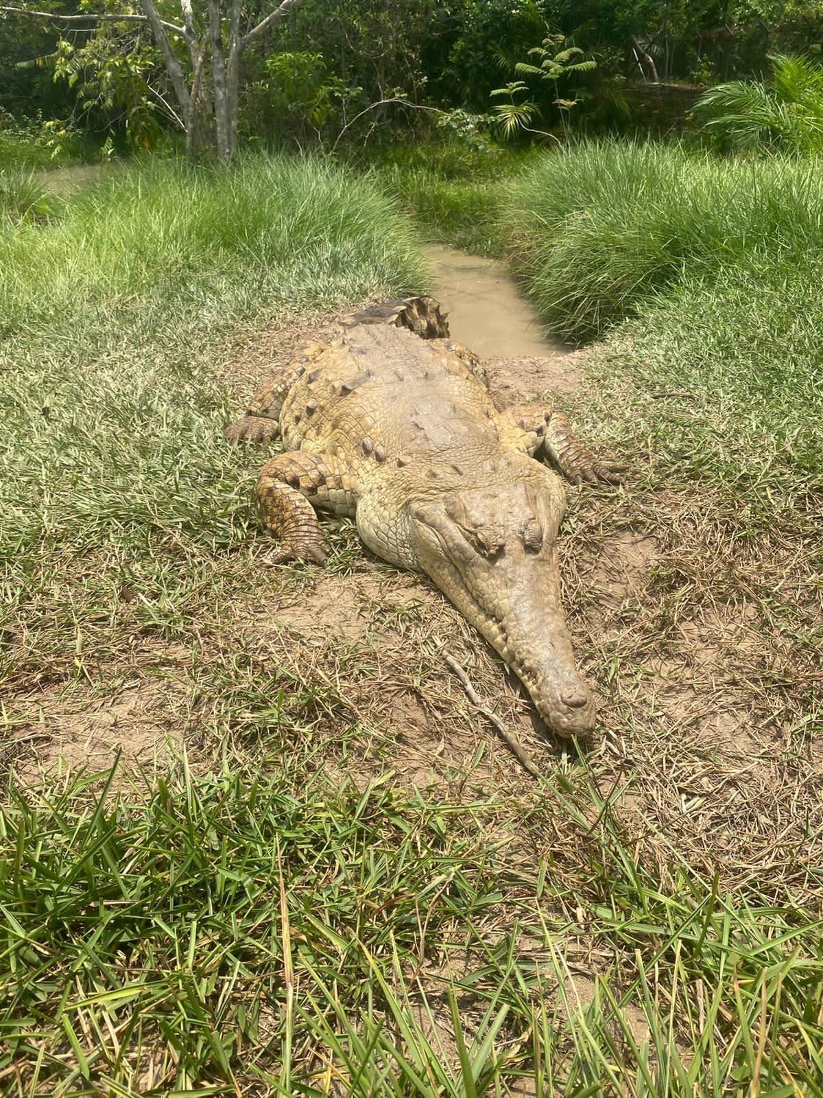 Imagen de WhatsApp 2024-04-28 a las 12.11.18_2a7bd42a