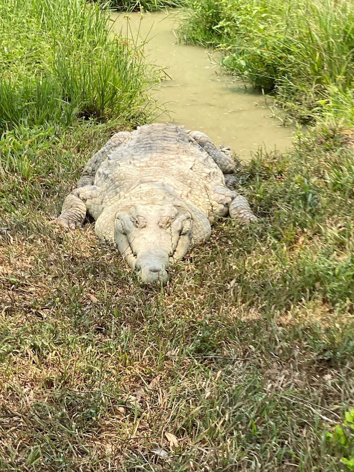 Imagen de WhatsApp 2024-04-28 a las 12.11.18_c615d84b