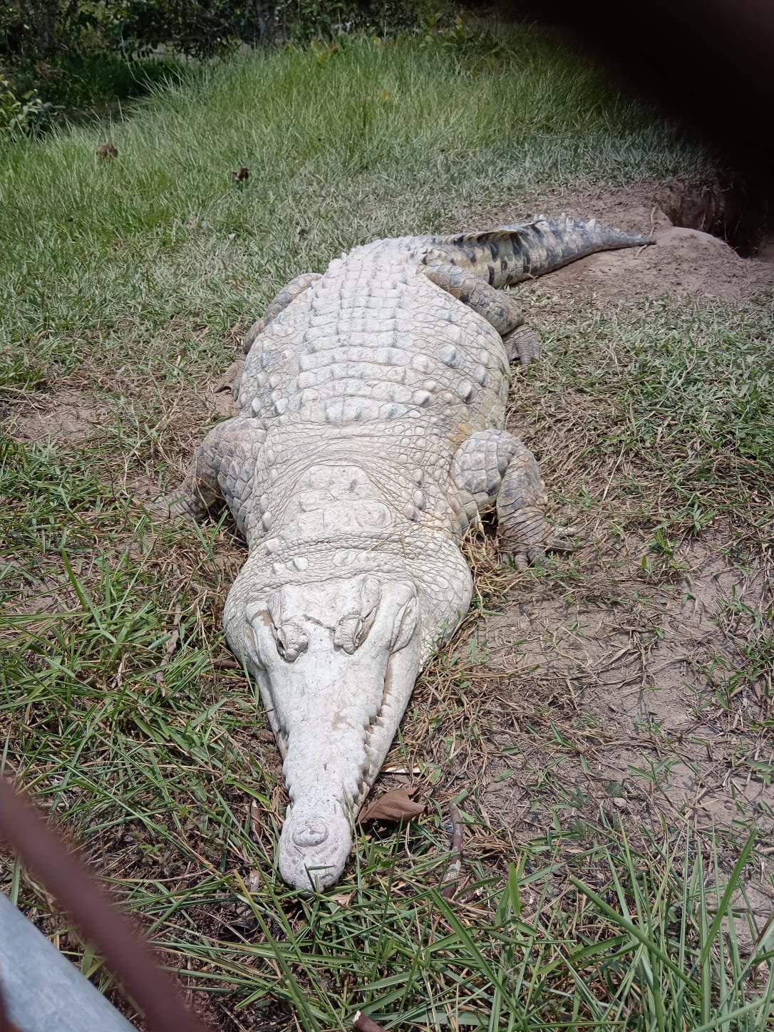 Imagen de WhatsApp 2024-04-28 a las 12.11.23_017f97bc