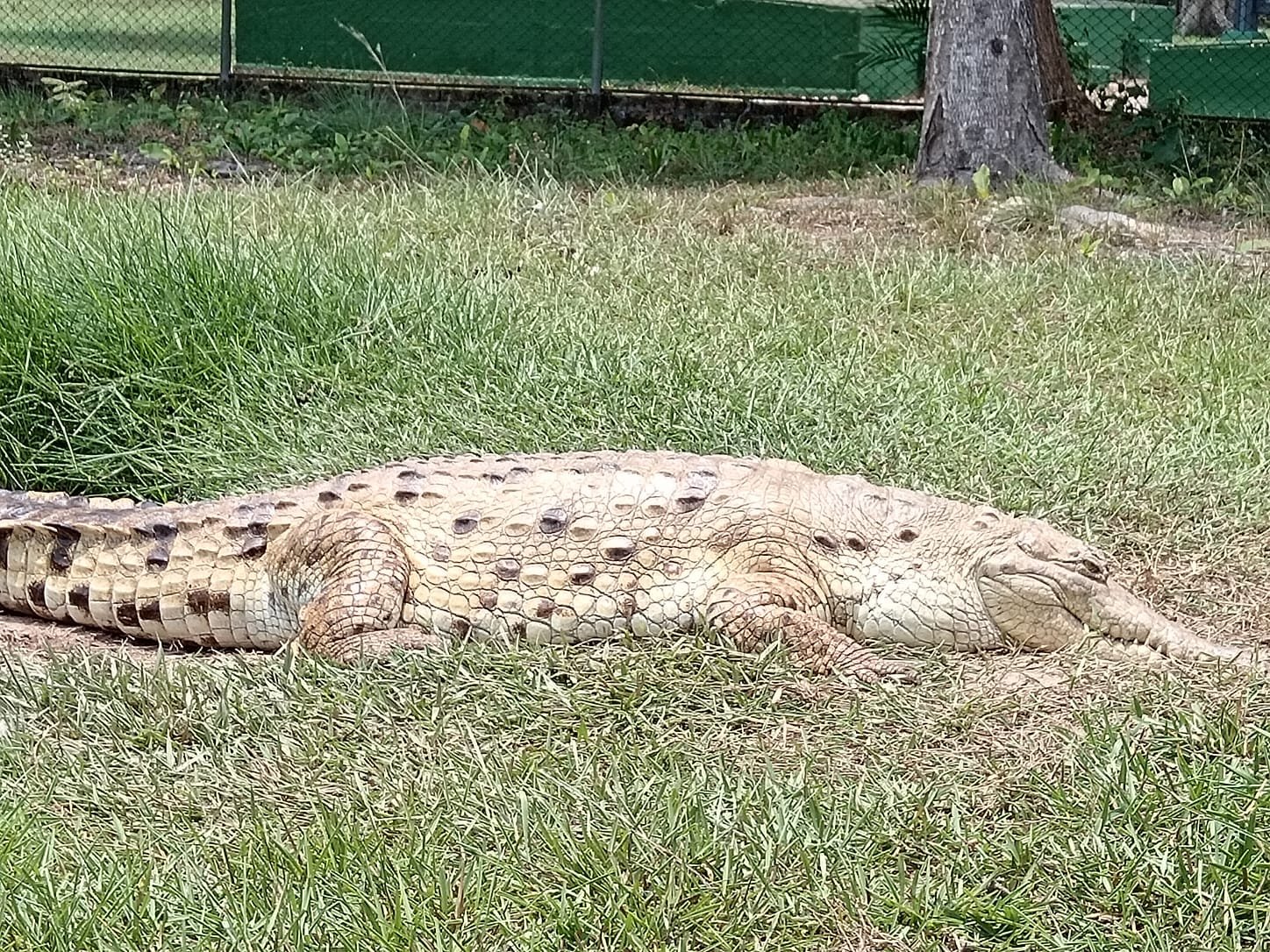 Imagen de WhatsApp 2024-04-28 a las 12.11.25_4549376a