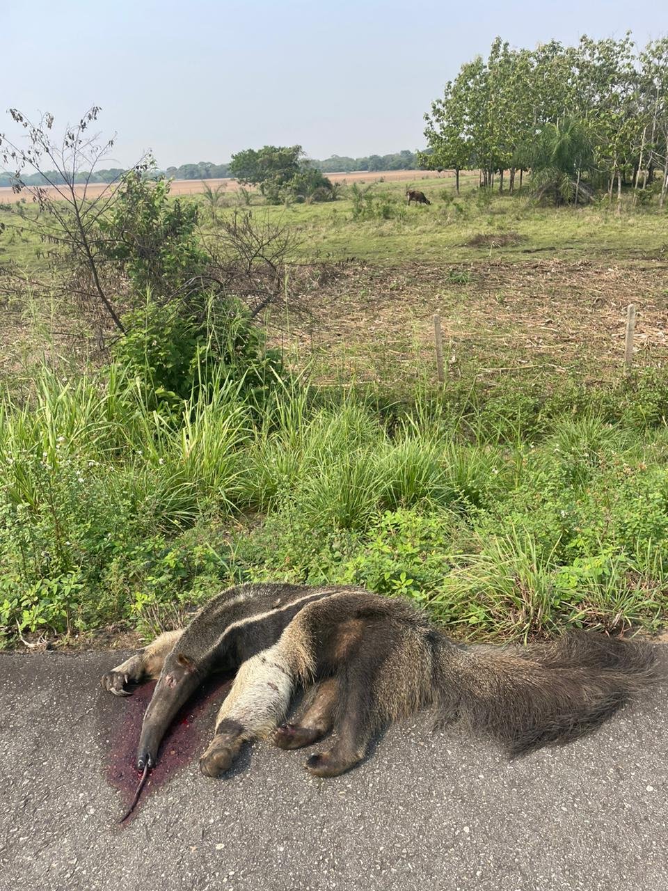 Imagen de WhatsApp 2024-04-28 a las 12.11.25_6626a84a