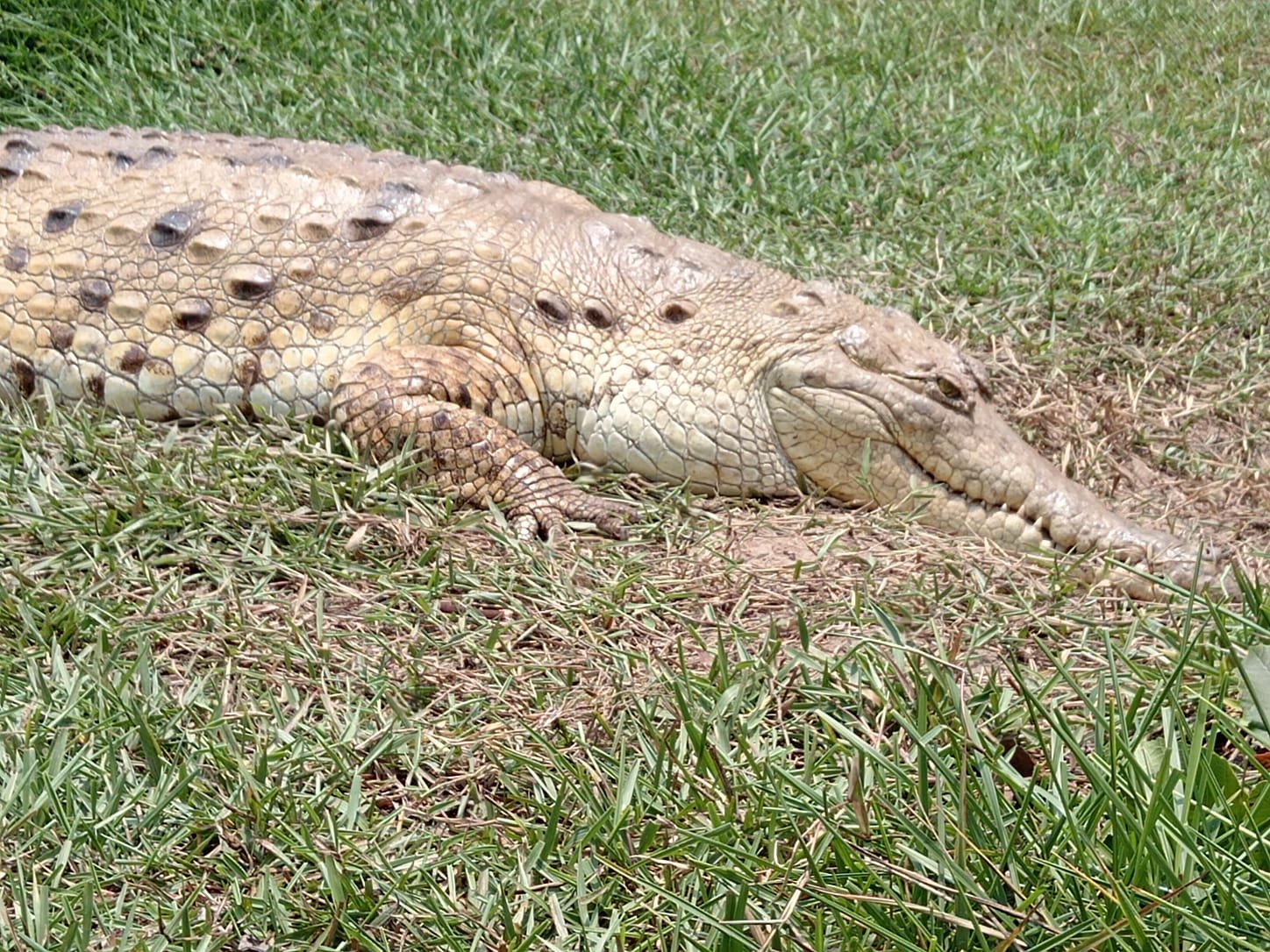 Imagen de WhatsApp 2024-04-28 a las 12.11.25_be87195a