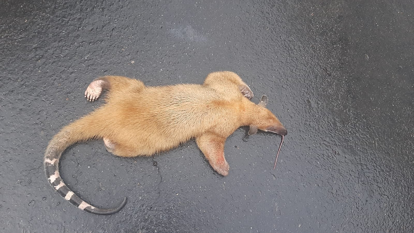 Imagen de WhatsApp 2024-04-28 a las 12.11.26_e9ff874f