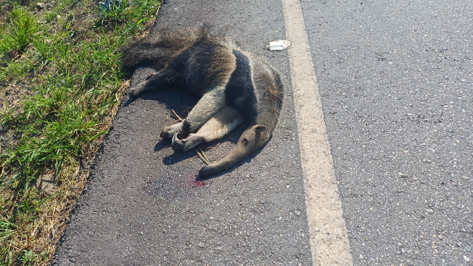 Imagen de WhatsApp 2024-04-28 a las 12.11.26_ed520a44