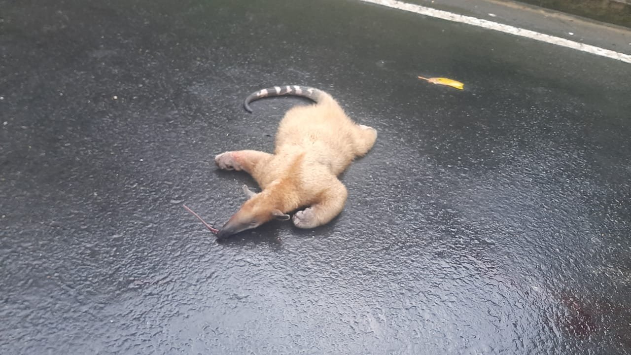 Imagen de WhatsApp 2024-04-30 a las 19.48.35_be9c21a5