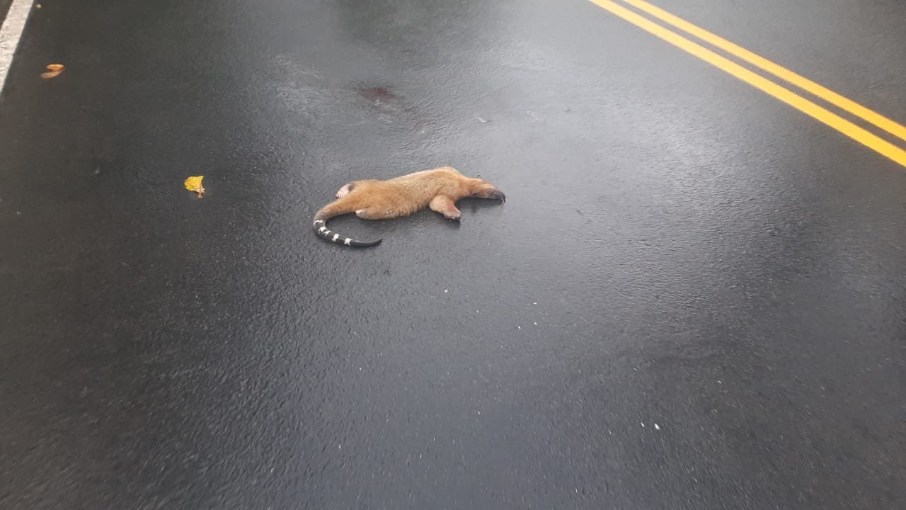 Imagen de WhatsApp 2024-04-30 a las 19.48.35_bf2fa9f6