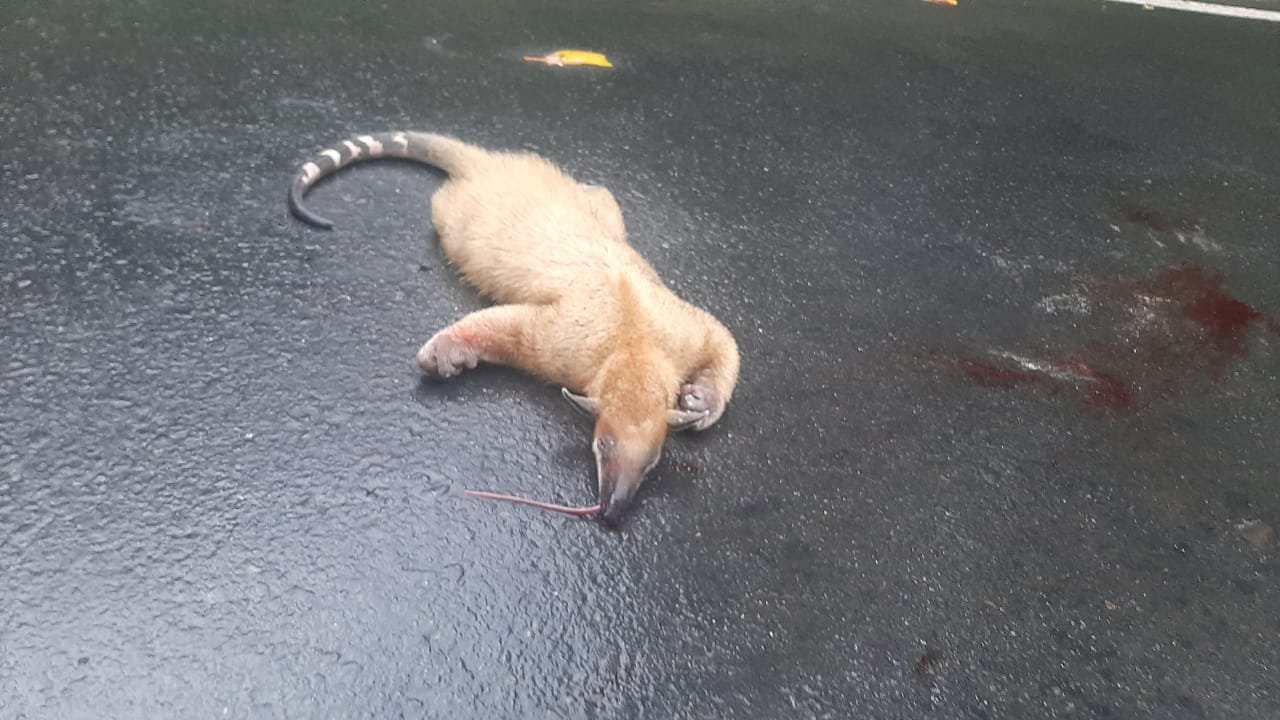 Imagen de WhatsApp 2024-04-30 a las 19.48.36_ee286997